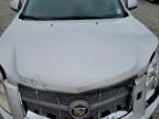 2011 Cadillac Srx Performance Collection იყიდება Memphis-ში, TN - Front End