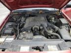 1999 Ford Crown Victoria Police Interceptor for Sale in Memphis, TN - Rear End