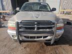 2002 Dodge Dakota Slt for Sale in Albuquerque, NM - Rear End