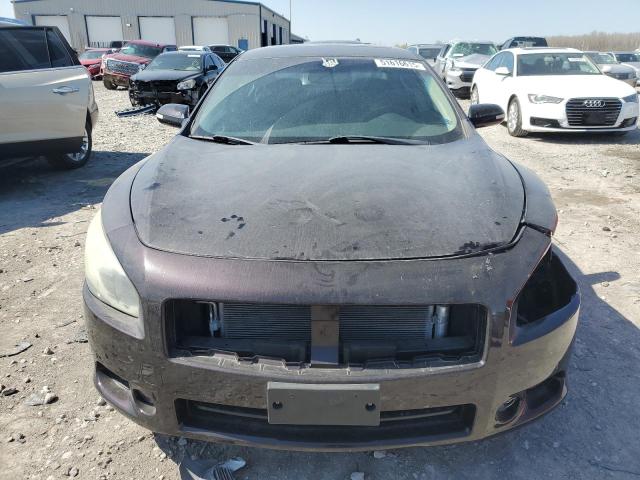 Sedans NISSAN MAXIMA 2013 Black