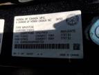 2023 HONDA CR-V LX for sale at Copart NS - HALIFAX