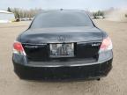 2009 HONDA ACCORD EXL for sale at Copart ON - COOKSTOWN