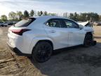 2024 Lexus Ux 250H Premium за продажба в Finksburg, MD - Front End