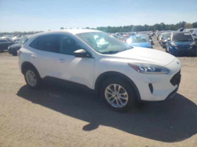  FORD ESCAPE 2022 Белый