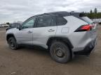 2024 TOYOTA RAV4 XSE for sale at Copart ON - TORONTO