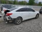 2015 Hyundai Sonata Se იყიდება Prairie Grove-ში, AR - Rear End