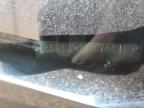 2008 Chrysler Town & Country Touring na sprzedaż w Phoenix, AZ - Minor Dent/Scratches