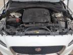 2019 Jaguar F-Pace  for Sale in Littleton, CO - Rear End