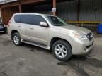 2010 Lexus Gx 460 Premium na sprzedaż w Denver, CO - Front End