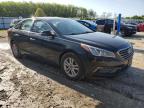 Hampton, VA에서 판매 중인 2015 Hyundai Sonata Eco - Minor Dent/Scratches