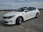2016 Kia Optima Ex продається в Earlington, KY - Hail