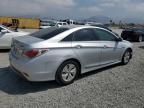 2013 Hyundai Sonata Hybrid na sprzedaż w Mentone, CA - Rear End