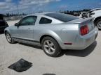 2009 Ford Mustang  zu verkaufen in West Palm Beach, FL - Normal Wear