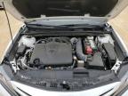2024 Toyota Camry Trd продається в San Antonio, TX - Hail