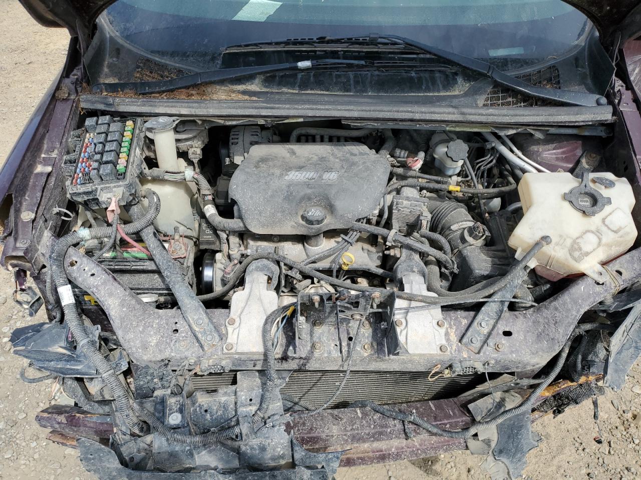 2006 Buick Terraza Cxl VIN: 5GADV33L56D191976 Lot: 52784185