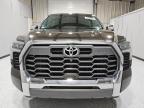 2023 Toyota Tundra Crewmax Platinum იყიდება Orlando-ში, FL - Normal Wear