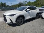 Riverview, FL에서 판매 중인 2025 Lexus Nx 250 Premium   - Rear End