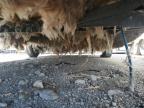 2020 Dutchman Trvl Trl for Sale in Madisonville, TN - Burn