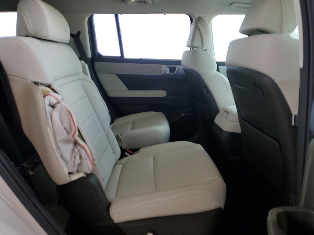 2024 Hyundai Santa Fe Calligraphy VIN: 5NMP5DGL0RH062258 Lot: 53568145