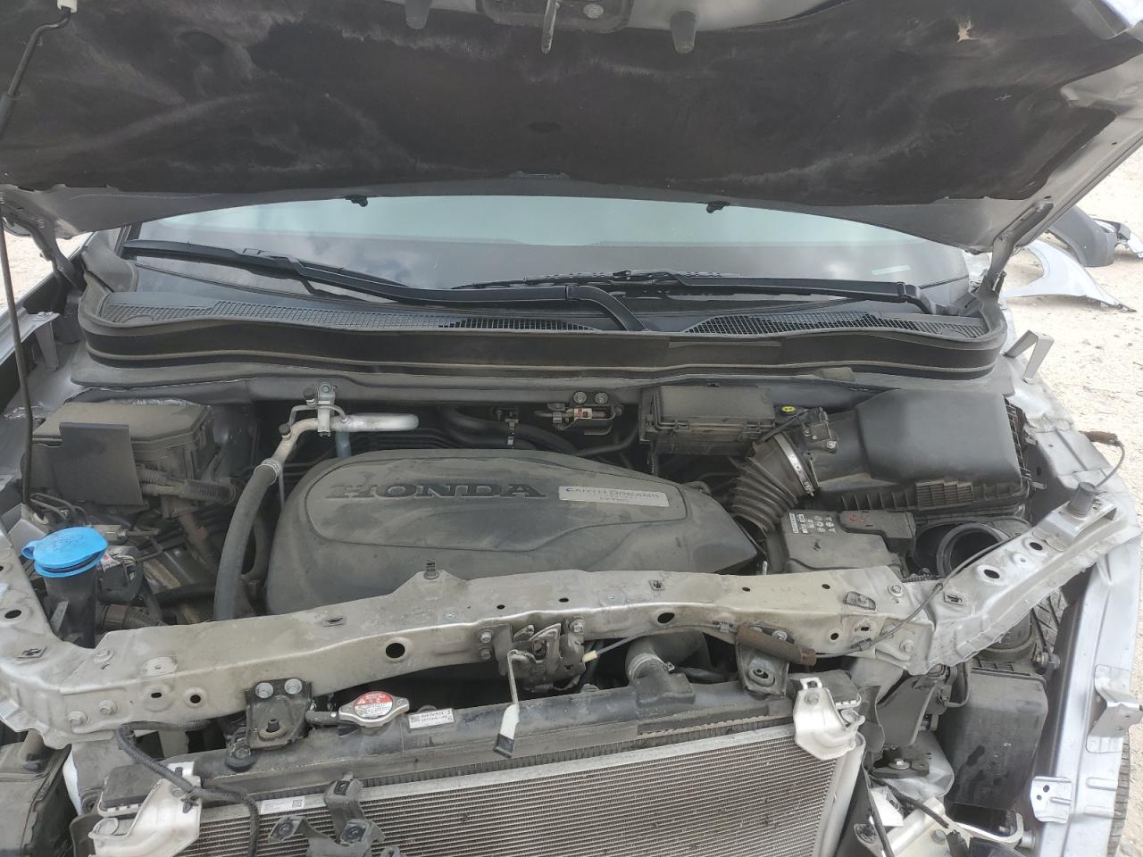 5FNYF5H30KB031167 HONDA PILOT 2019