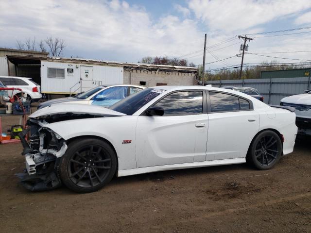  DODGE CHARGER 2023 Белый