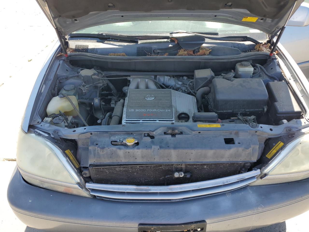 2002 Lexus Rx 300 VIN: JTJHF10U520239960 Lot: 53005035