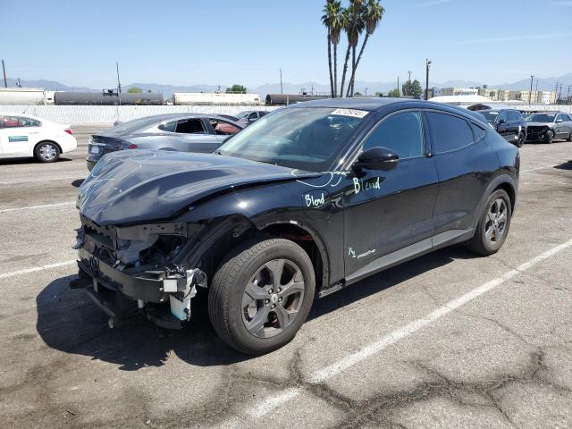 FORD MUSTANG MA 2023