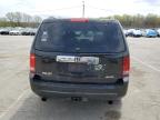 2009 Honda Pilot Exl zu verkaufen in Louisville, KY - Hail