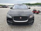 2019 Jaguar F-Pace  იყიდება Memphis-ში, TN - Normal Wear