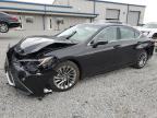 2024 Lexus Es 350 Base na sprzedaż w Earlington, KY - Front End
