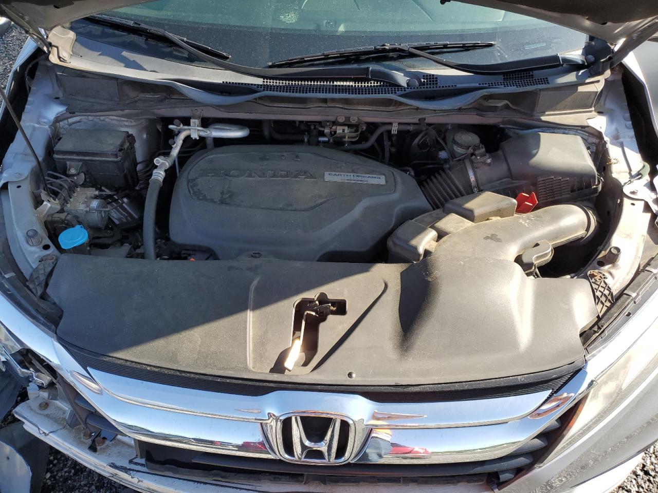 5FNRL6H28KB023506 HONDA All Models 2019