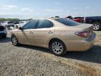 2002 Lexus Es 300 იყიდება Memphis-ში, TN - Front End