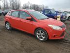 2014 Ford Focus Se for Sale in Davison, MI - Minor Dent/Scratches