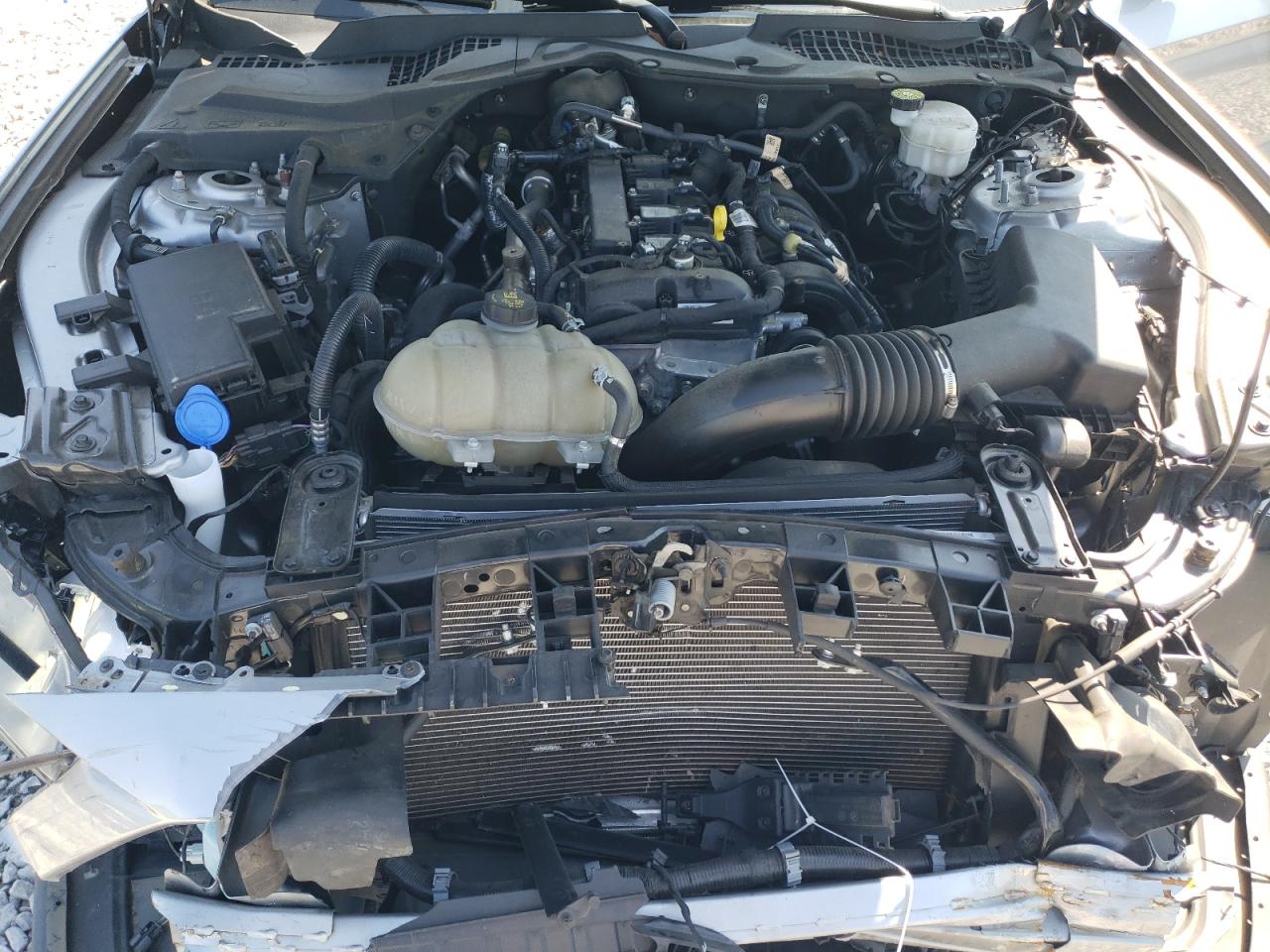 2022 Ford Mustang VIN: 1FA6P8TH9N5139808 Lot: 54675675