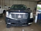 2007 Cadillac Escalade Luxury за продажба в Madisonville, TN - Front End