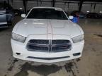 2013 Dodge Charger Se for Sale in Louisville, KY - Minor Dent/Scratches
