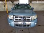 2008 Ford Escape Hev for Sale in Phoenix, AZ - Front End