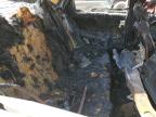2025 Kia K4 Ex zu verkaufen in Houston, TX - Burn