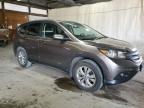 2013 Honda Cr-V Exl   de vânzare în Ebensburg, PA - All Over