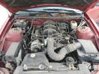 2008 Ford Mustang  for Sale in Wilmer, TX - All Over