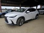 2025 Lexus Nx 350 Premium   for Sale in American Canyon, CA - Rear End