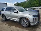 2024 Hyundai Palisade Limited de vânzare în Shreveport, LA - Side