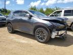 2024 Lexus Nx 250 Premium იყიდება Kapolei-ში, HI - Front End