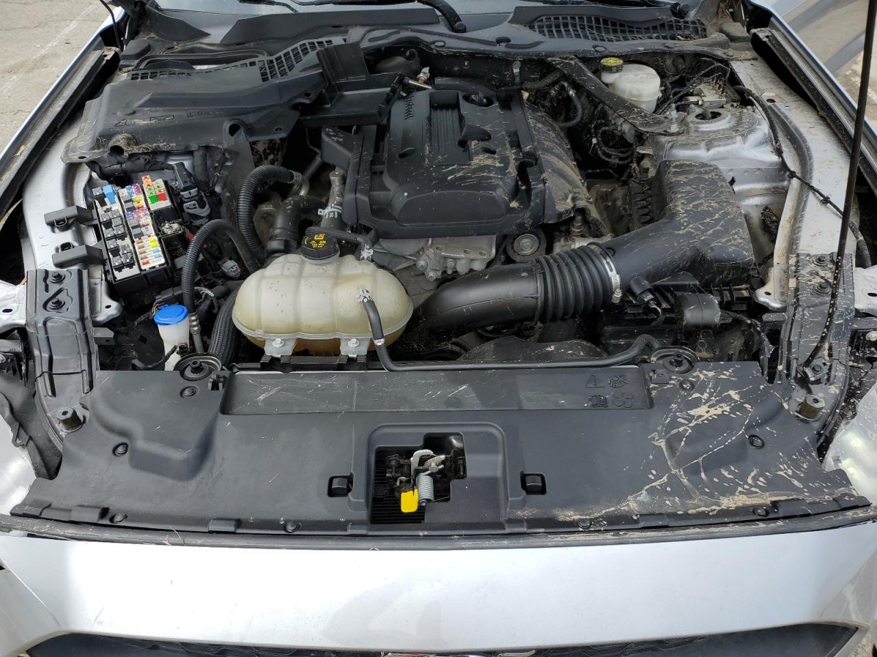 1FATP8UH9L5137734 FORD ALL Models 2020