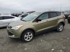 2013 Ford Escape Se   იყიდება Cahokia Heights-ში, IL - Hail