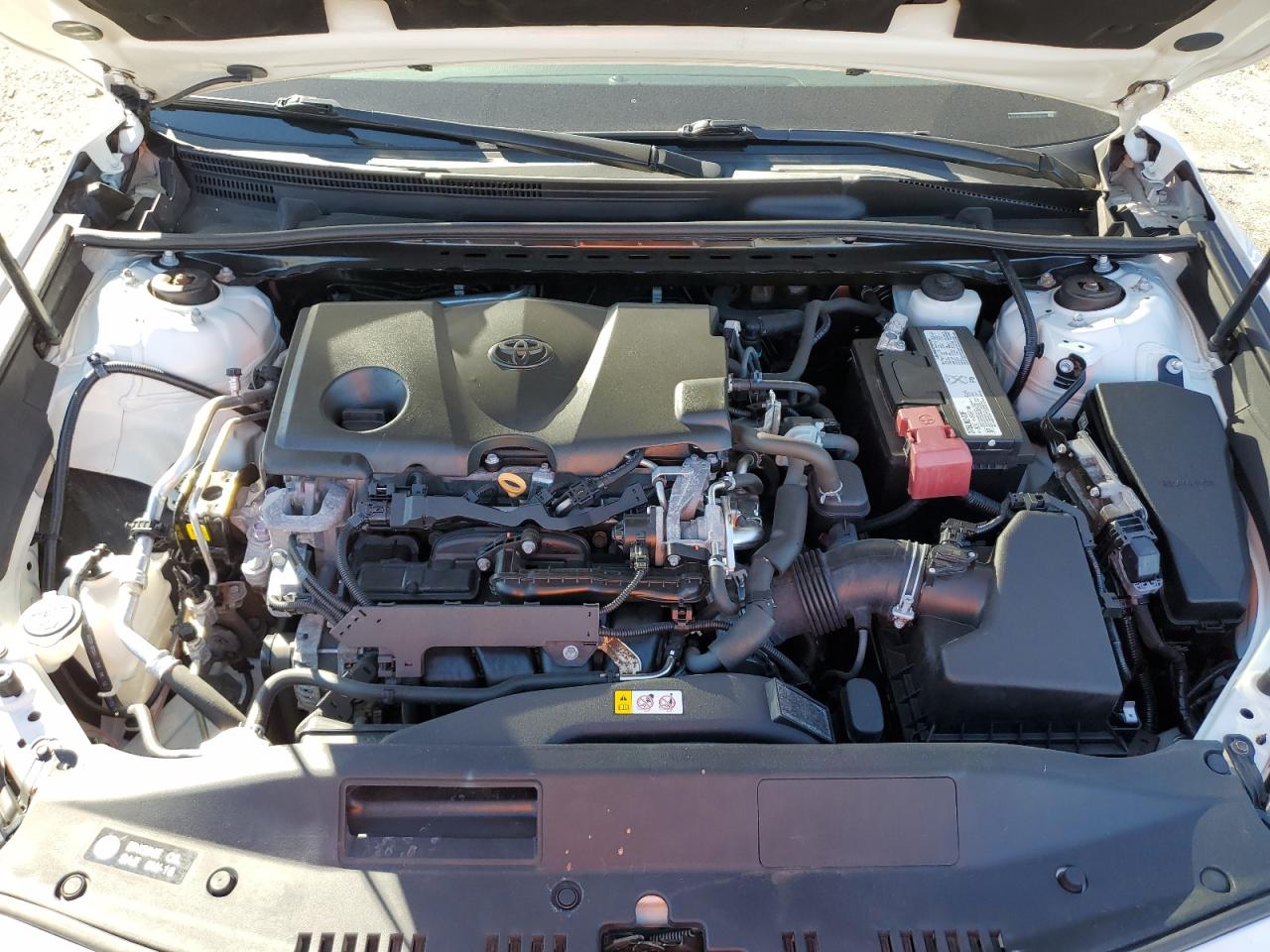 4T1B11HK4KU850285 TOYOTA CAMRY 2019