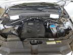 2013 Audi Q5 Premium Plus for Sale in Pasco, WA - Front End