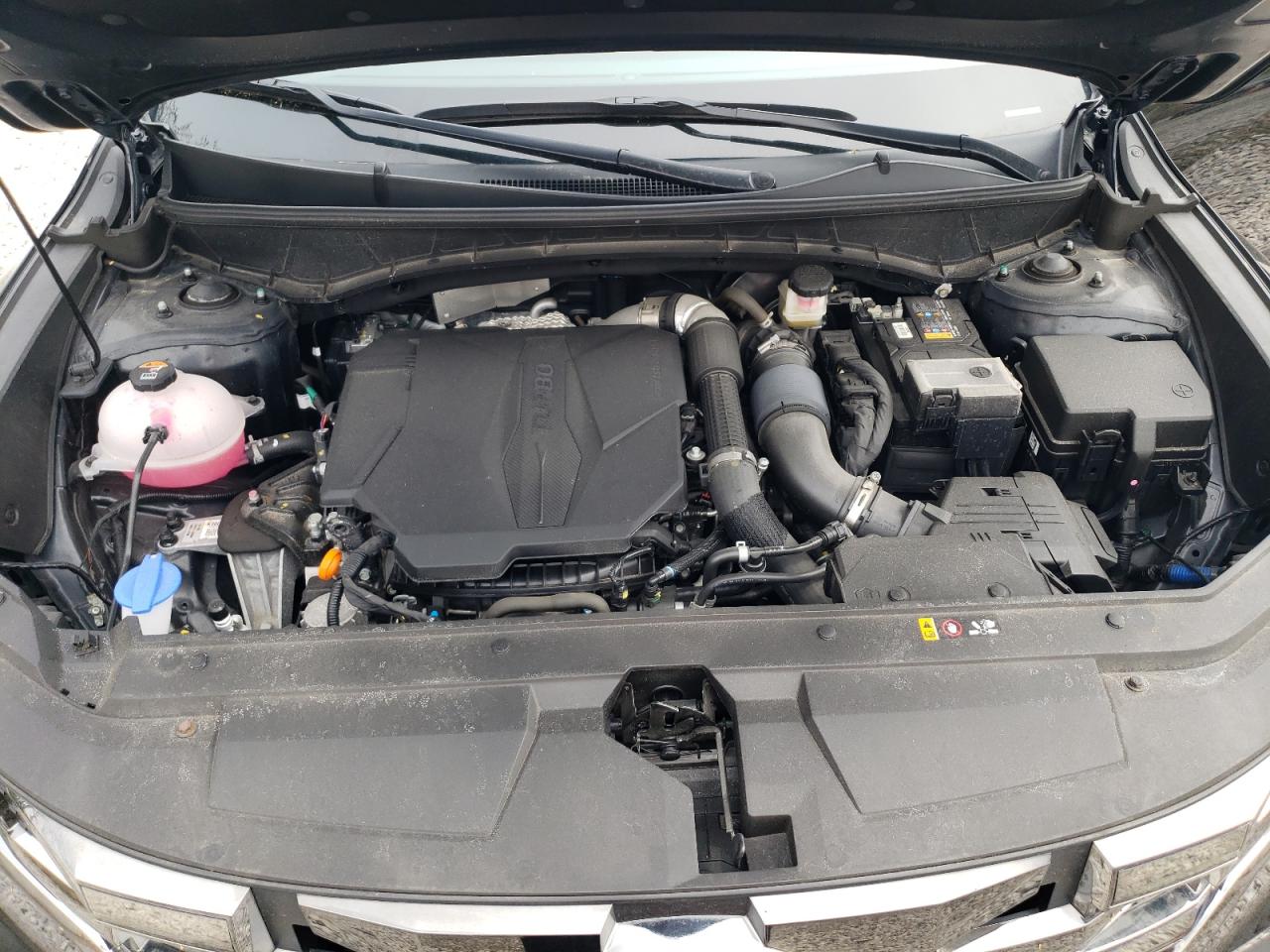 2024 Hyundai Santa Cruz Night VIN: 5NTJCDAF4RH082371 Lot: 54815695