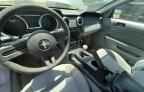 2007 Ford Mustang  for Sale in Apopka, FL - Minor Dent/Scratches