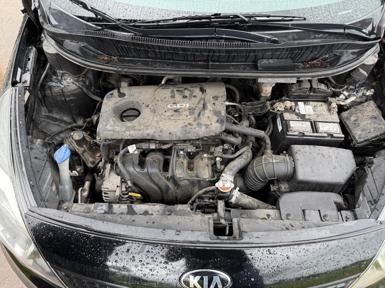 KNADM4A37H6005482 KIA RIO 2017